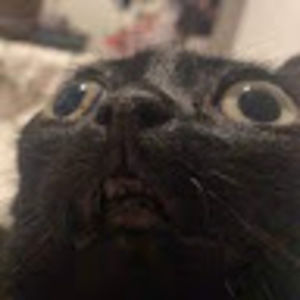 Meet your Posher, Draken